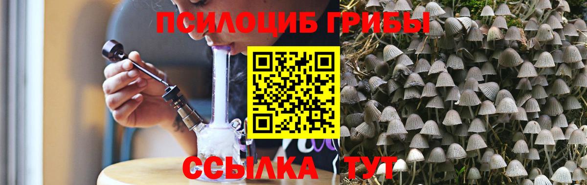 Галлюциногенные грибы MAGIC MUSHROOMS  Псилоцибиновые грибы мухоморы  Кинель  Вход с VPN 